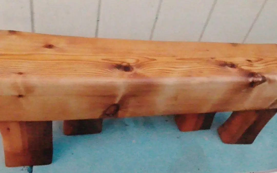 Katie L .Scutero | wood pile play  | Loomis,. CA