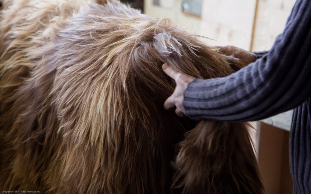 Custom sofa materials