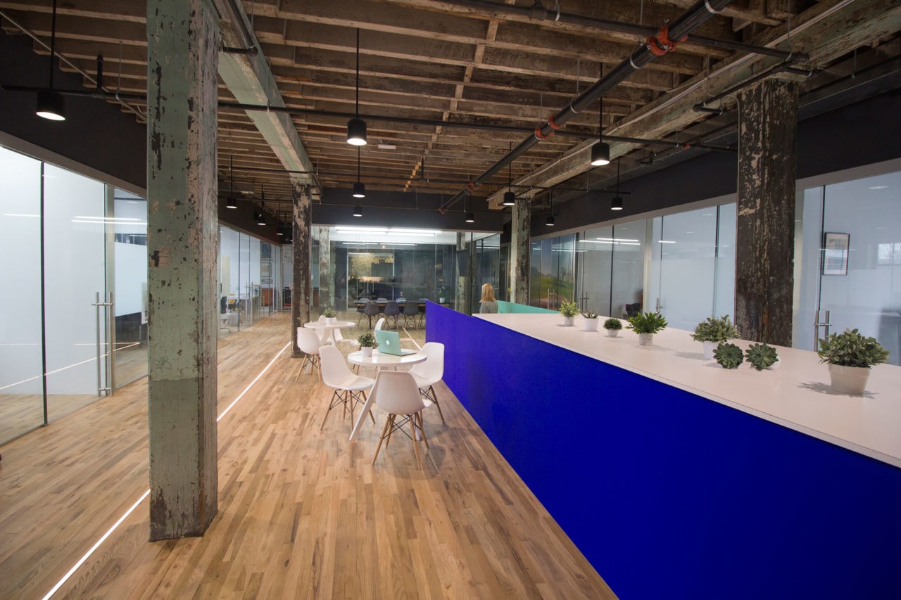 in a bond collective office SENTIENT contemporary designed custom furniture with a long low blue accented wall 