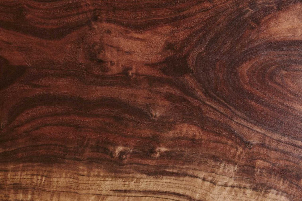 a solid SENTIENT claro walnut luxury wood grain custom sample detail 