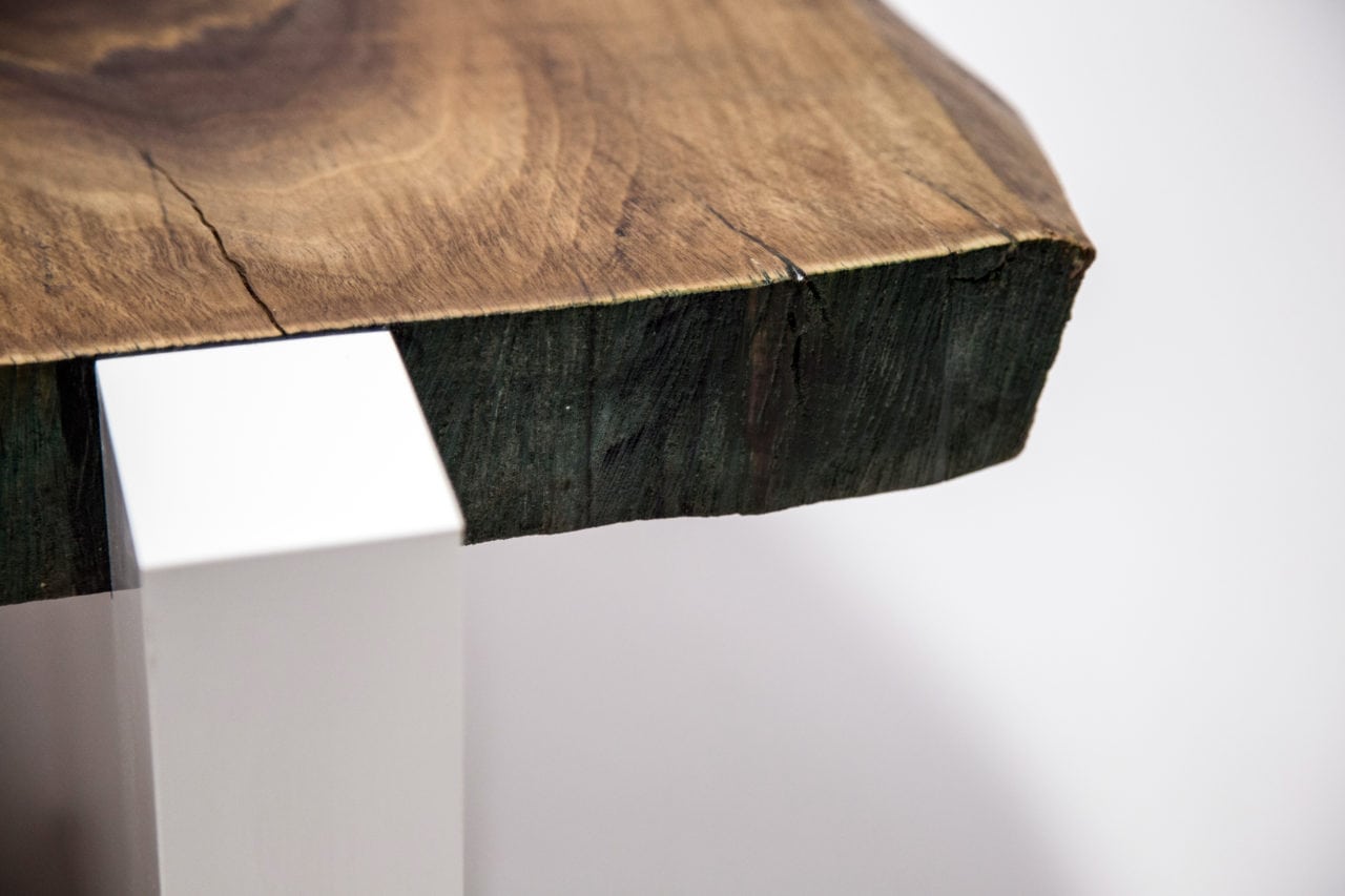 a thick live edge American black walnut solid wood top contemporary coffee table with luxury white base detail