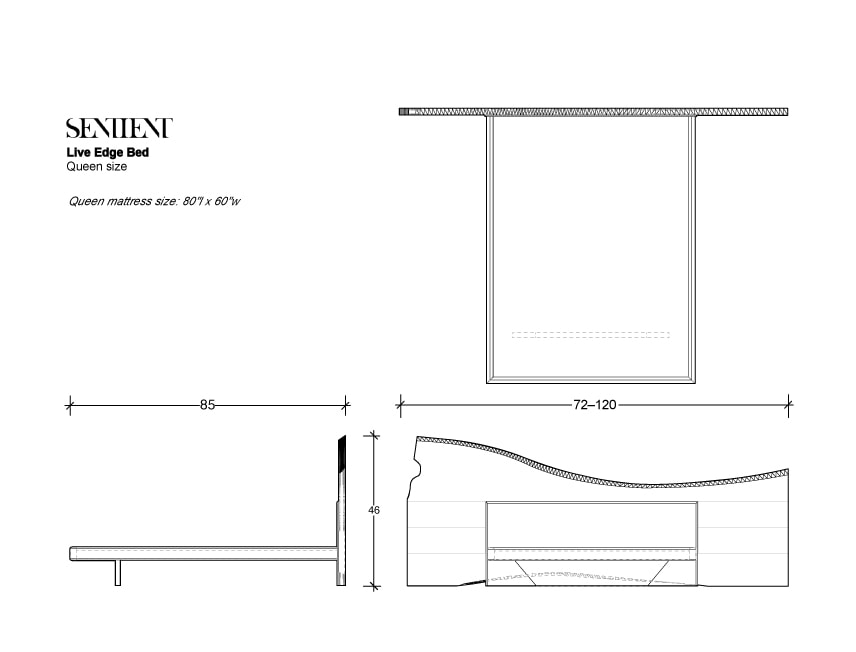 a black and white line rendering with measurements of a SENTIENT contemporary designed live edge bed