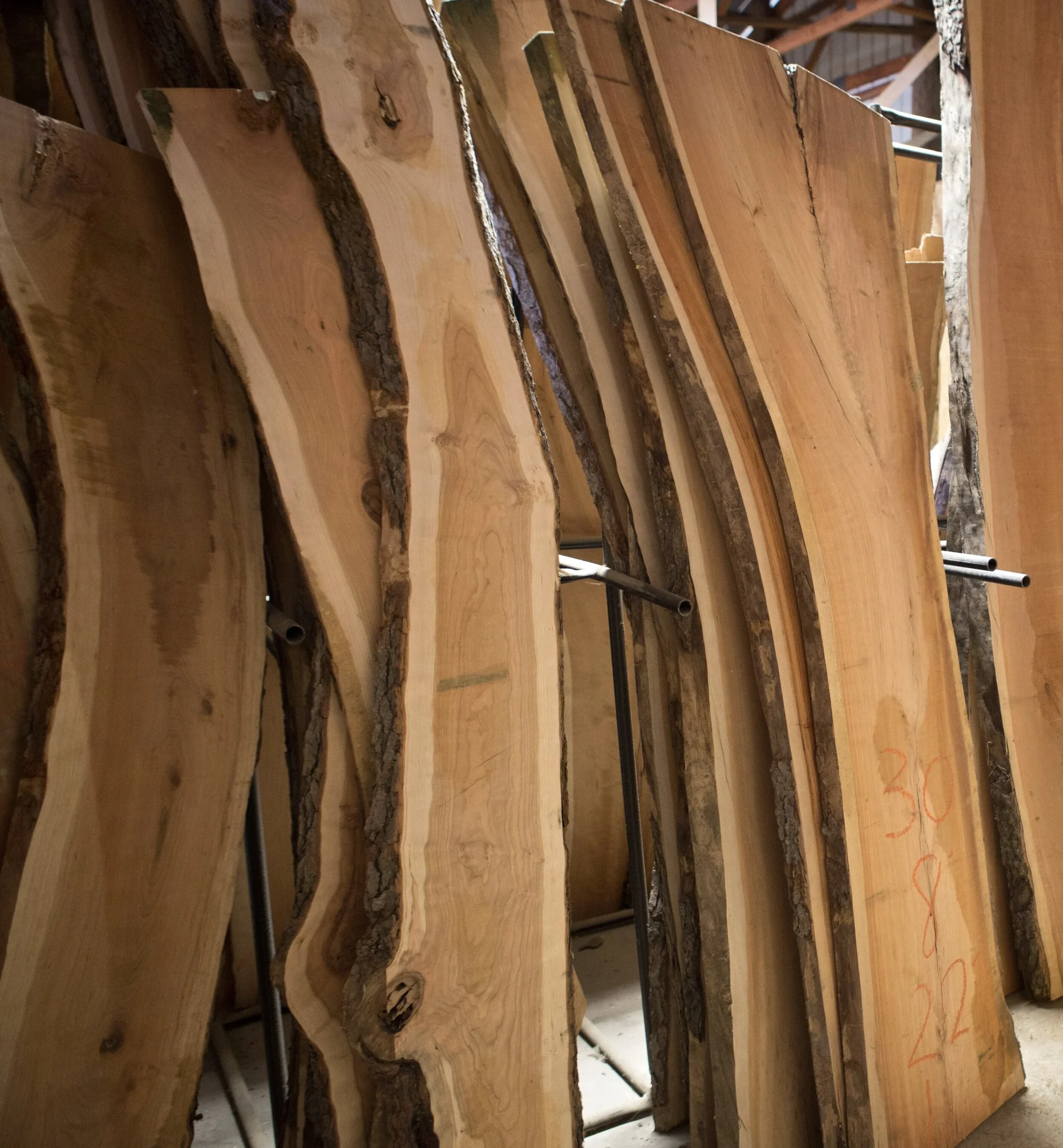 Slabs Of Live Edge Wood Species Displayed For Sourcing