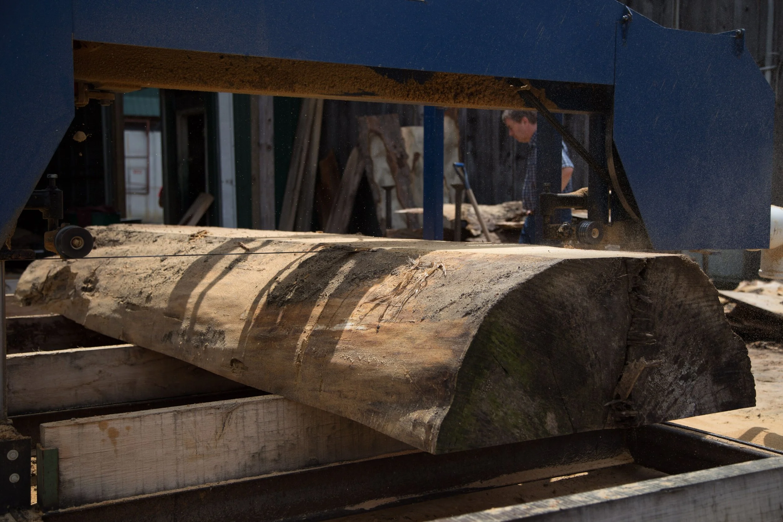 The Process Of Slicing Wood Logs Before Kiln Drying