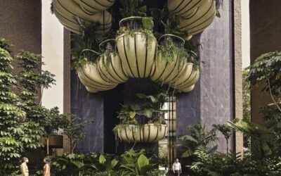 Nature Inside And Out