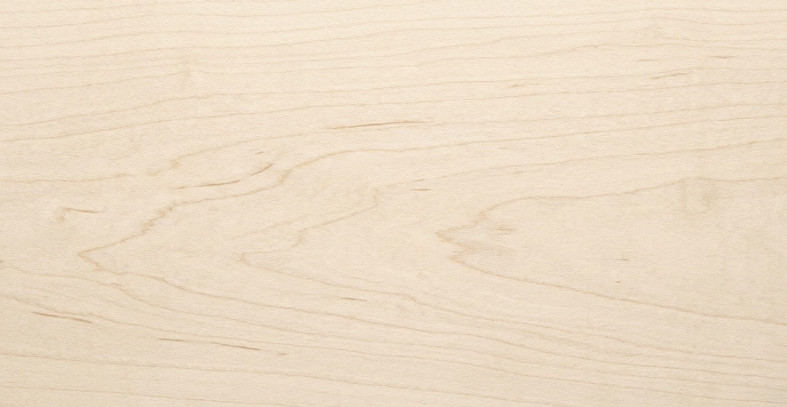 Birch wood grain showing natural color and texture