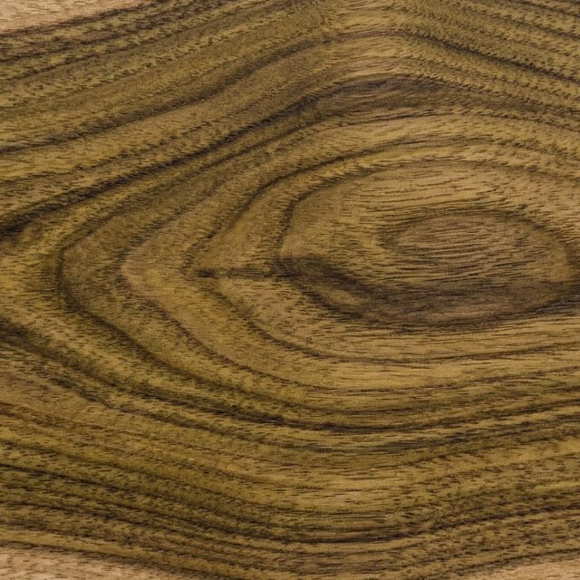 Black Locust wood grain swatch showing natural color and texture - SENTIENT Materials