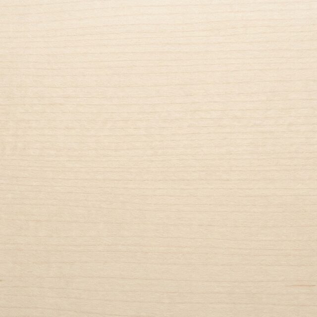 Hard Maple wood grain swatch showing natural color and texture - SENTIENT Materials
