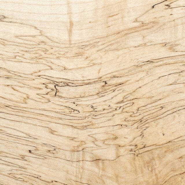 Spalted Maple wood grain swatch showing natural color and texture - SENTIENT Materials